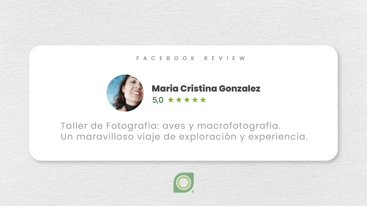 testimonio-tours -para-personas-solas