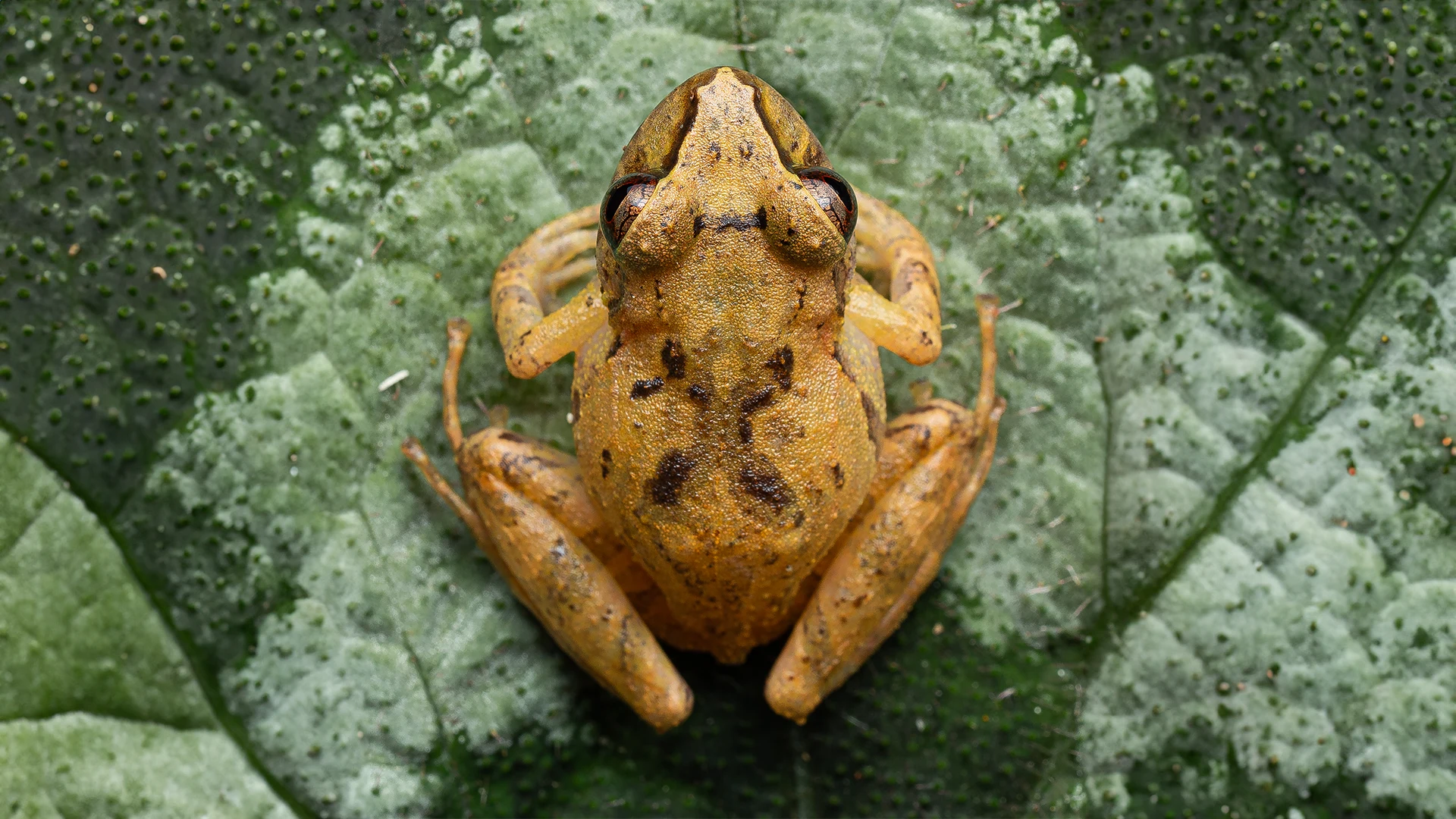 Colombia has regions with incredible landscapes that are perfect for wildlife photography tours.