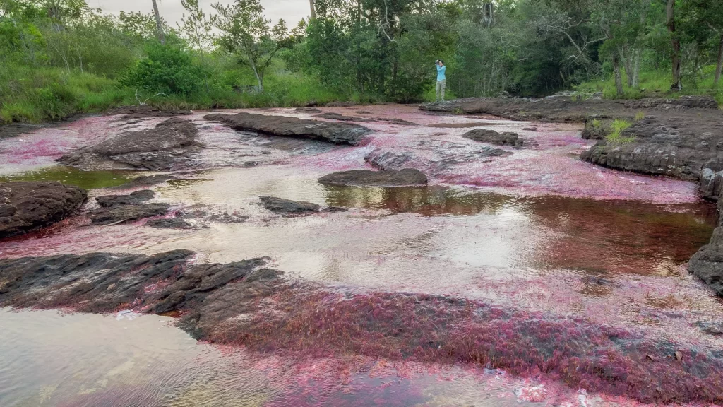 KNT_Paraiso_Terrenal_28