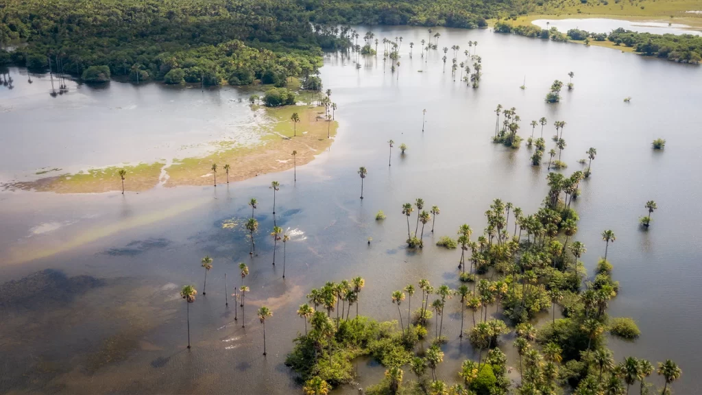 Tour Fotográfico - Casanare