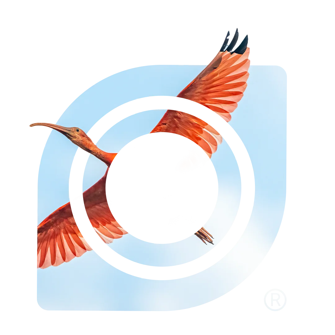 If you are a bird lover, here you can photograph the unique species in our wildlife photography tours. Bird watching tours colombia