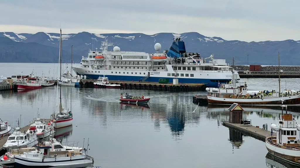 Ballenas_Islandia_1